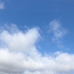 Meet your Posher, Derek